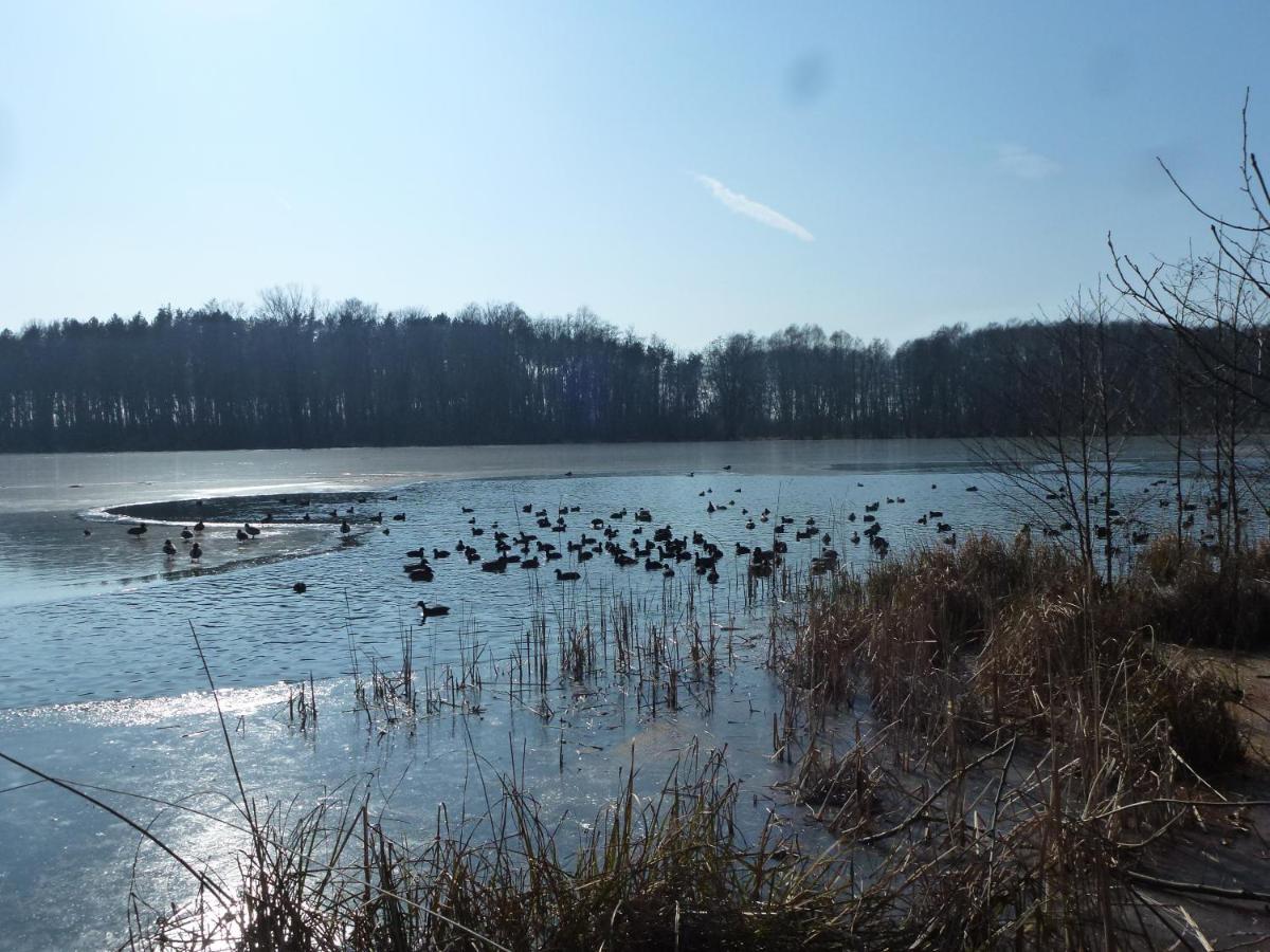 Seeblick Kemnitz Werder  Exteriér fotografie